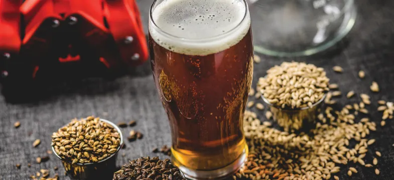  啤酒發(fā)酵過程大揭秘！vAPCI+CMS 聯(lián)用新技術(shù)如何快速捕捉風(fēng)味密碼？